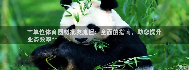 耀世集团四个字的图片:**单位体育器材批发流程:全面的指南,