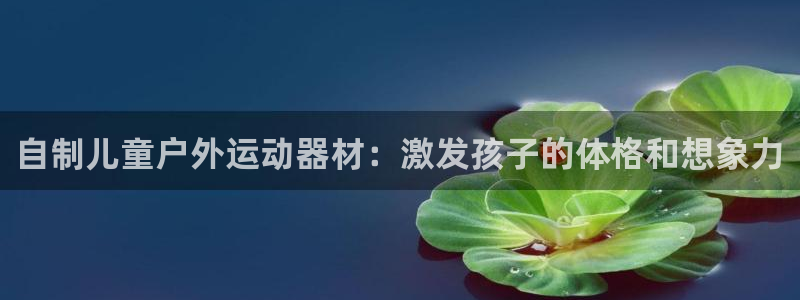 耀世平台注册流程视频:自制儿童户外运动器材:激发孩子的体格和