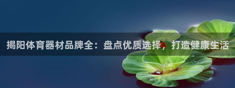 耀世平台登录地址:揭阳体育器材品牌全:盘点优质选择,打造健康