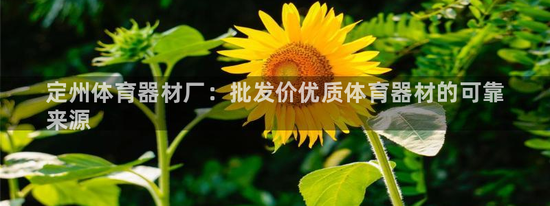 耀世娱乐下载链接安装:定州体育器材厂:批发价优质体育器材的可