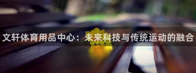 耀世平台注册:文轩体育用品中心:未来科技与传统运动的融合